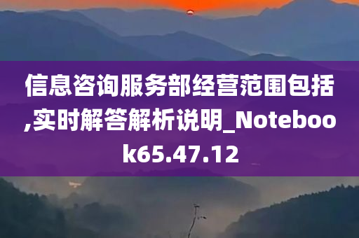 信息咨询服务部经营范围包括,实时解答解析说明_Notebook65.47.12