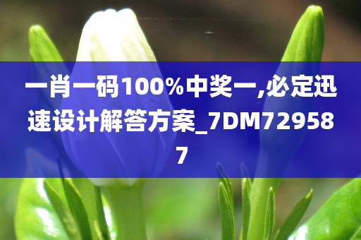 一肖一码100%中奖一,必定迅速设计解答方案_7DM729587