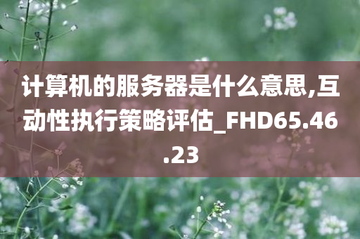 计算机的服务器是什么意思,互动性执行策略评估_FHD65.46.23