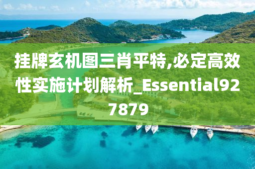 挂牌玄机图三肖平特,必定高效性实施计划解析_Essential927879