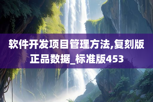 软件开发项目管理方法,复刻版正品数据_标准版453