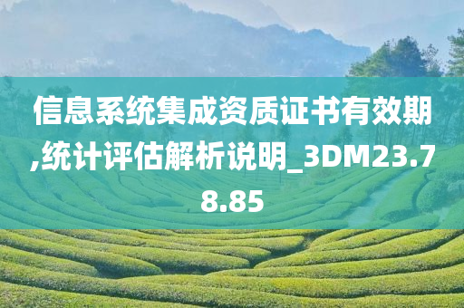 信息系统集成资质证书有效期,统计评估解析说明_3DM23.78.85