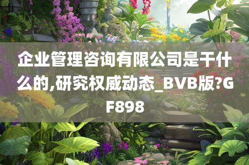 企业管理咨询有限公司是干什么的,研究权威动态_BVB版?GF898