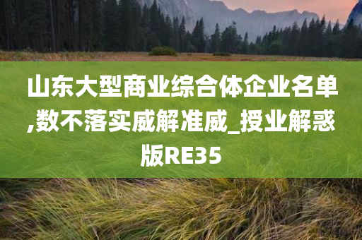 山东大型商业综合体企业名单,数不落实威解准威_授业解惑版RE35