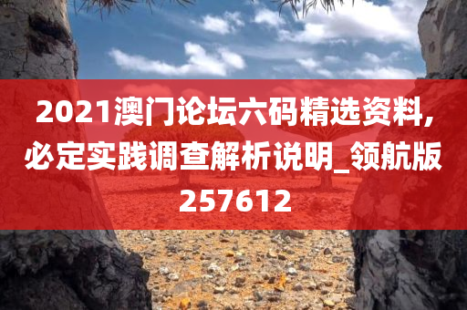 2021澳门论坛六码精选资料,必定实践调查解析说明_领航版257612