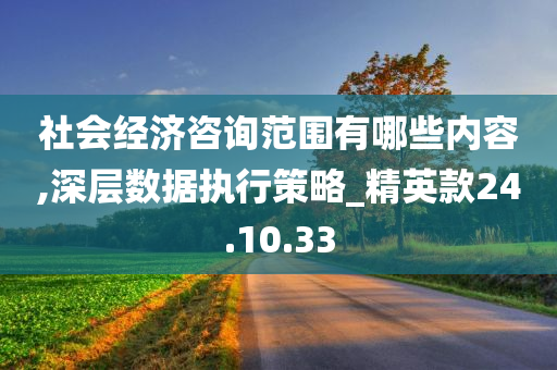 社会经济咨询范围有哪些内容,深层数据执行策略_精英款24.10.33