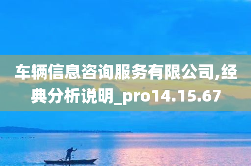 车辆信息咨询服务有限公司,经典分析说明_pro14.15.67