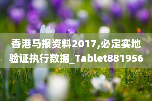 香港马报资料2017,必定实地验证执行数据_Tablet881956