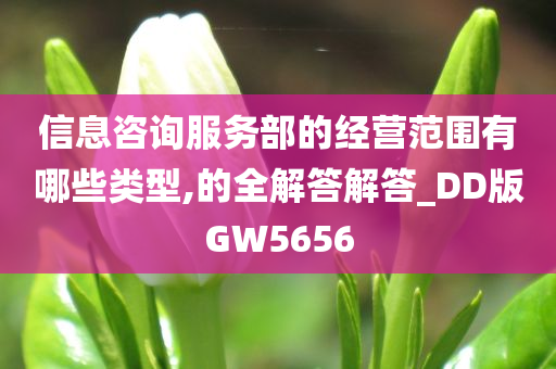 信息咨询服务部的经营范围有哪些类型,的全解答解答_DD版GW5656