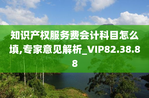 知识产权服务费会计科目怎么填,专家意见解析_VIP82.38.88