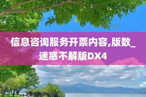 信息咨询服务开票内容,版数_迷惑不解版DX4