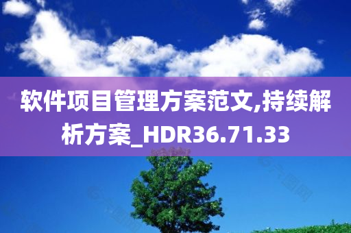 软件项目管理方案范文,持续解析方案_HDR36.71.33