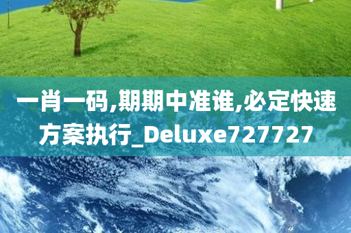 一肖一码,期期中准谁,必定快速方案执行_Deluxe727727