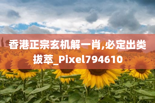 香港正宗玄机解一肖,必定出类拔萃_Pixel794610