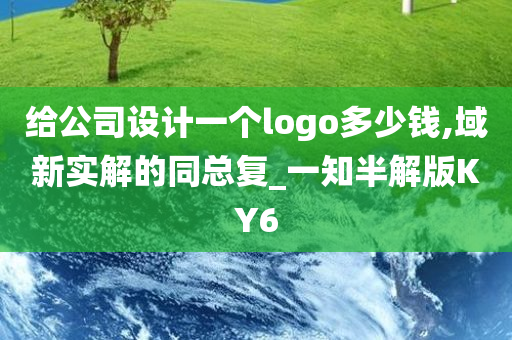 给公司设计一个logo多少钱,域新实解的同总复_一知半解版KY6