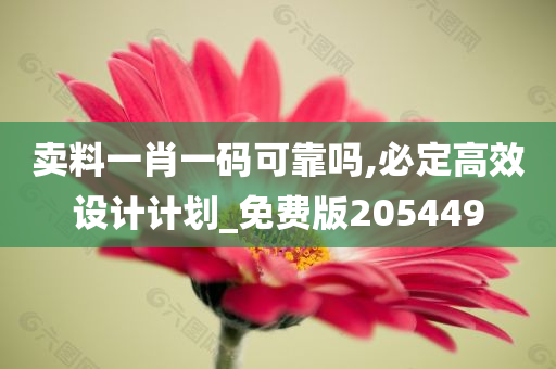 卖料一肖一码可靠吗,必定高效设计计划_免费版205449