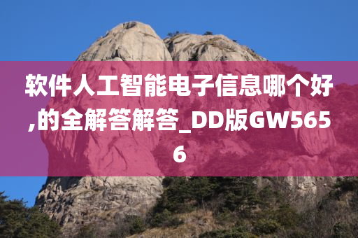 软件人工智能电子信息哪个好,的全解答解答_DD版GW5656