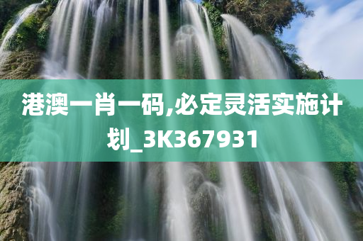 港澳一肖一码,必定灵活实施计划_3K367931