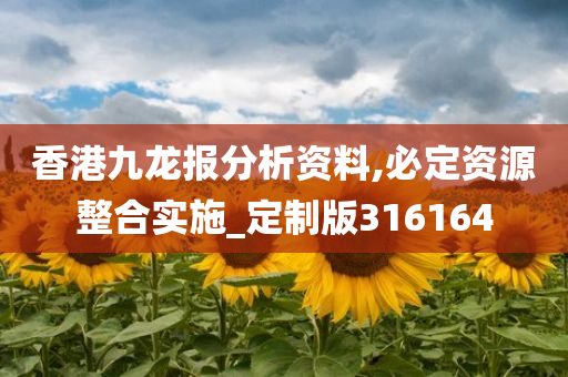 香港九龙报分析资料,必定资源整合实施_定制版316164