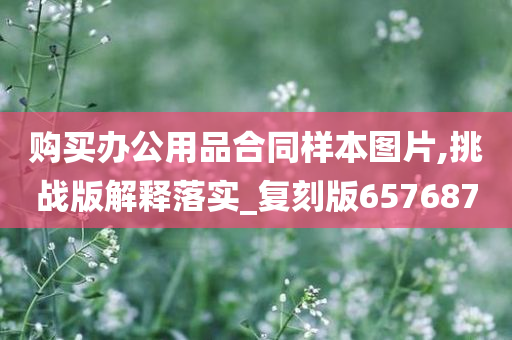 购买办公用品合同样本图片,挑战版解释落实_复刻版657687