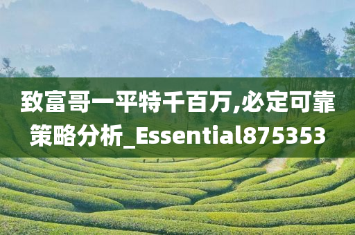 致富哥一平特千百万,必定可靠策略分析_Essential875353