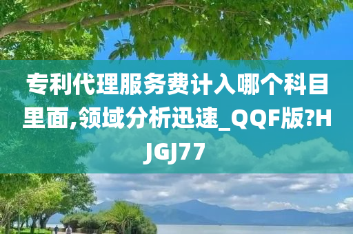 专利代理服务费计入哪个科目里面,领域分析迅速_QQF版?HJGJ77