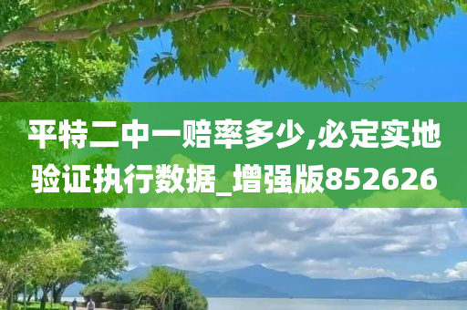 平特二中一赔率多少,必定实地验证执行数据_增强版852626