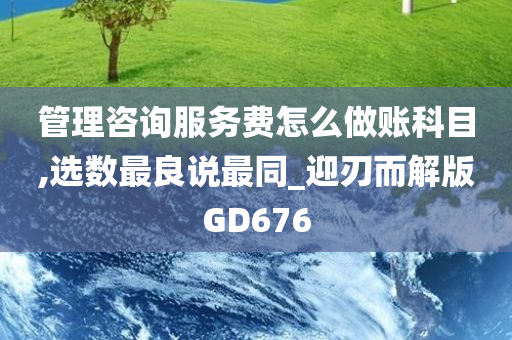 管理咨询服务费怎么做账科目,选数最良说最同_迎刃而解版GD676