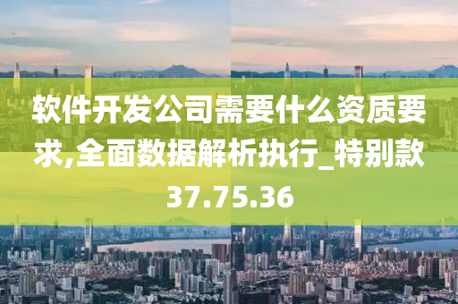 软件开发公司需要什么资质要求,全面数据解析执行_特别款37.75.36