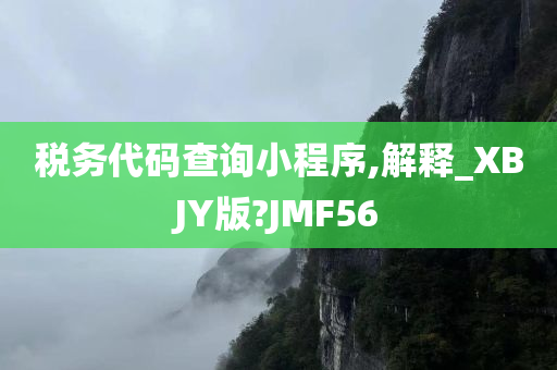 税务代码查询小程序,解释_XBJY版?JMF56