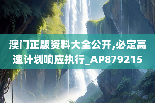 澳门正版资料大全公开,必定高速计划响应执行_AP879215