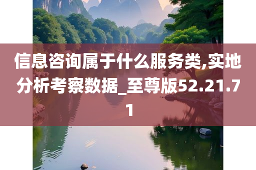 信息咨询属于什么服务类,实地分析考察数据_至尊版52.21.71