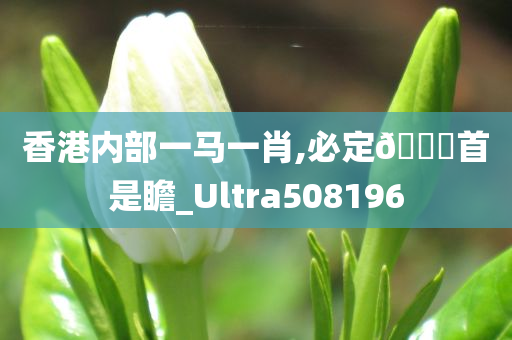 香港内部一马一肖,必定🐎首是瞻_Ultra508196