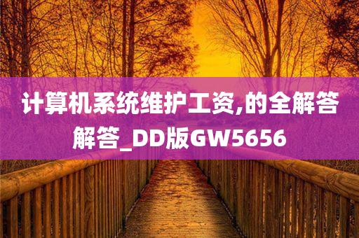 计算机系统维护工资,的全解答解答_DD版GW5656