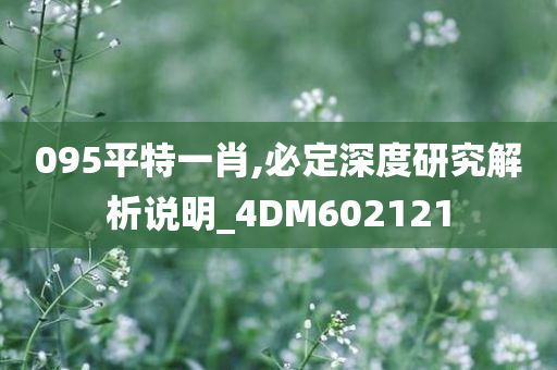 095平特一肖,必定深度研究解析说明_4DM602121