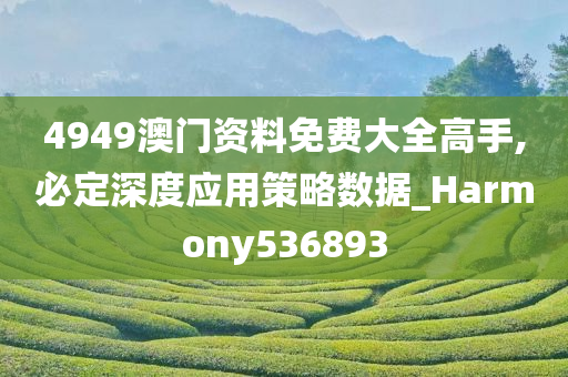 4949澳门资料免费大全高手,必定深度应用策略数据_Harmony536893