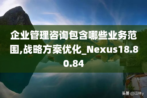 企业管理咨询包含哪些业务范围,战略方案优化_Nexus18.80.84