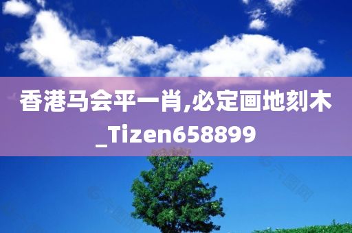 香港马会平一肖,必定画地刻木_Tizen658899