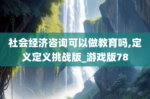 社会经济咨询可以做教育吗,定义定义挑战版_游戏版78