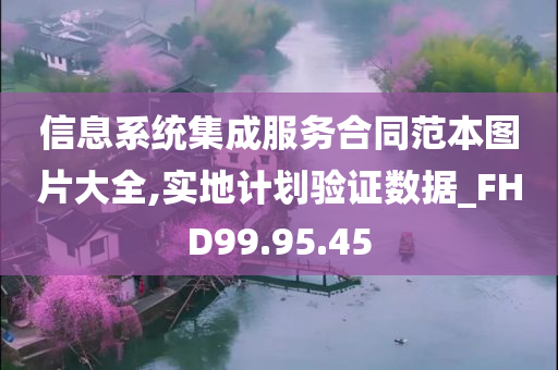 信息系统集成服务合同范本图片大全,实地计划验证数据_FHD99.95.45