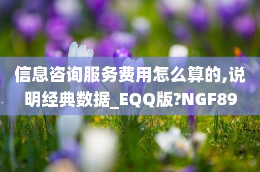 信息咨询服务费用怎么算的,说明经典数据_EQQ版?NGF89