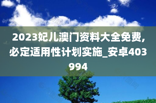 2023妃儿澳门资料大全免费,必定适用性计划实施_安卓403994