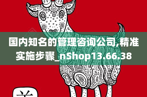 国内知名的管理咨询公司,精准实施步骤_nShop13.66.38