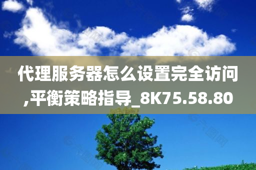 代理服务器怎么设置完全访问,平衡策略指导_8K75.58.80