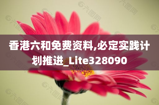 香港六和免费资料,必定实践计划推进_Lite328090