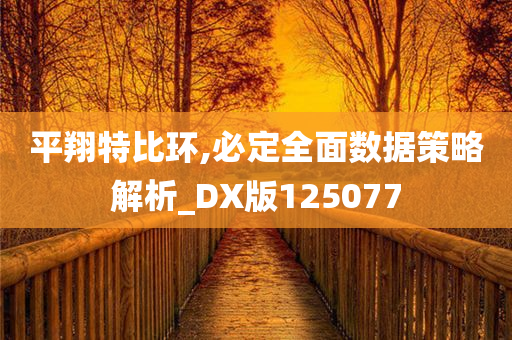 平翔特比环,必定全面数据策略解析_DX版125077