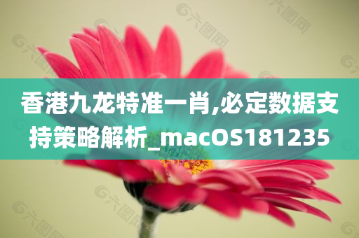 香港九龙特准一肖,必定数据支持策略解析_macOS181235