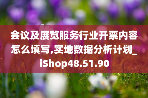 会议及展览服务行业开票内容怎么填写,实地数据分析计划_iShop48.51.90