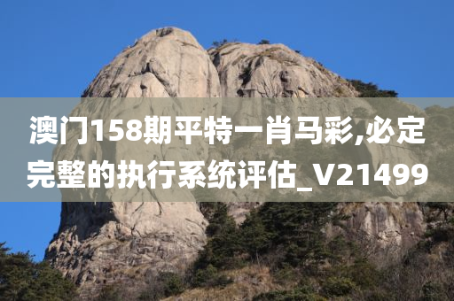 澳门158期平特一肖马彩,必定完整的执行系统评估_V214990