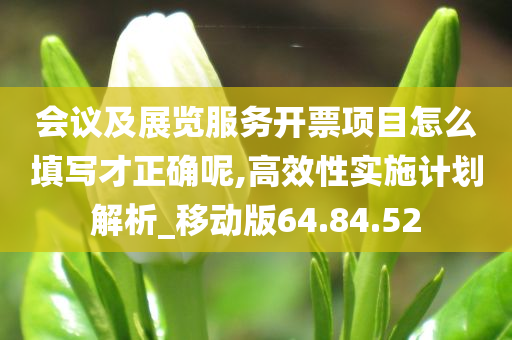 会议及展览服务开票项目怎么填写才正确呢,高效性实施计划解析_移动版64.84.52